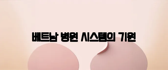 베트남 병원 시스템의 기원