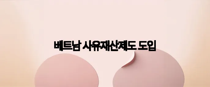 베트남 사유재산제도 도입